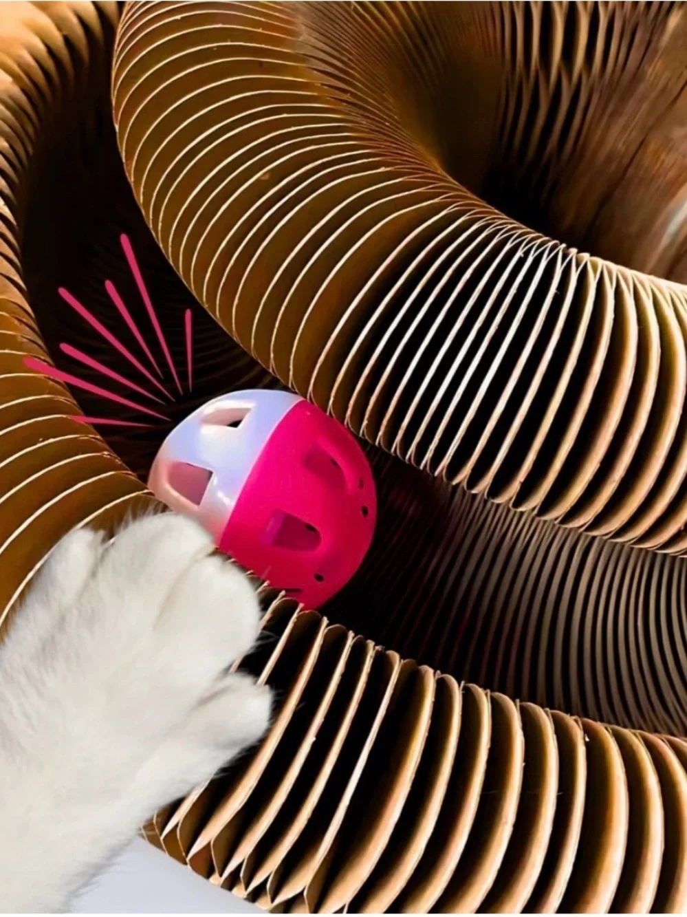 The ultimate cat toy